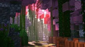 Blossom Grove