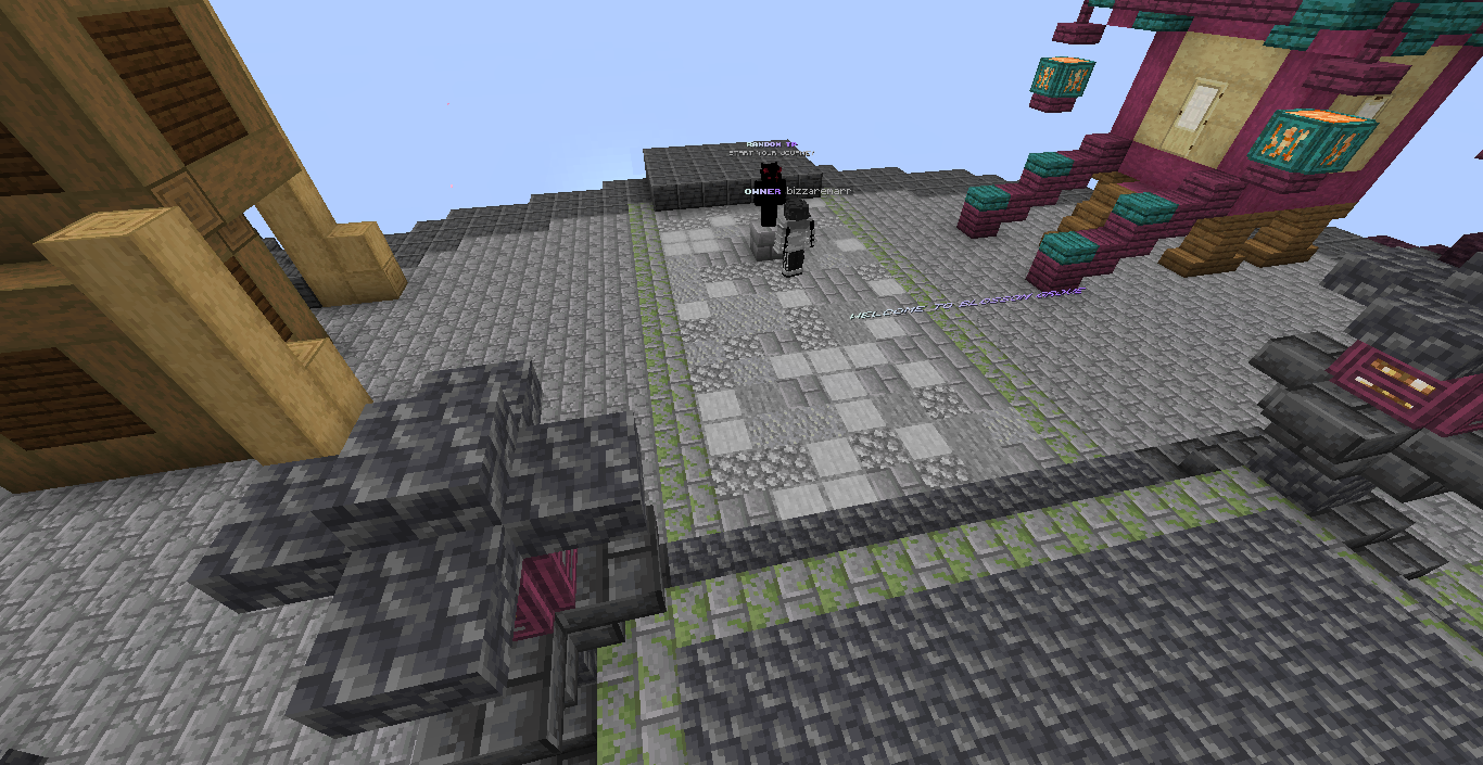 Server Screenshot