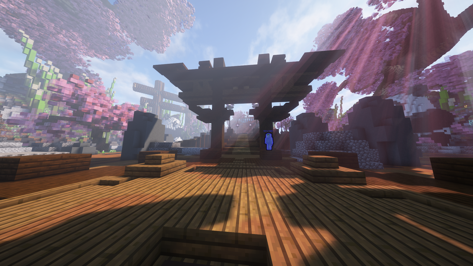 Server Screenshot